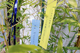 We have displayed a bamboo tree on 15th floor.
