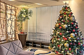 Christmas Decorations on Display