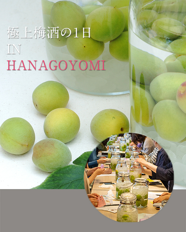 梅酒漬け込み