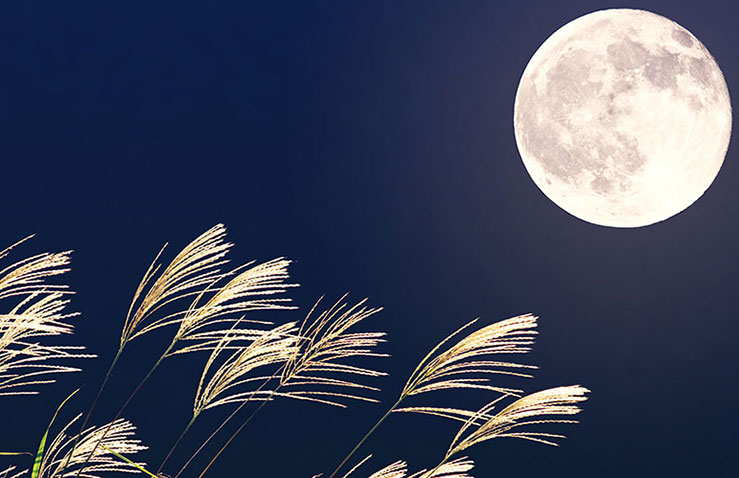 中秋の名月の意味とは？十五夜はいつ？