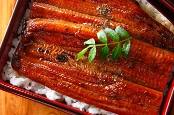 2025年の土用の丑の日はいつ？由来やうなぎを食べる意味とは