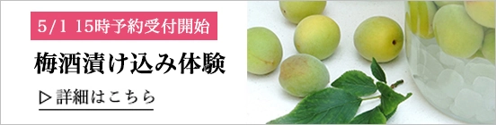 梅酒漬け込み体験